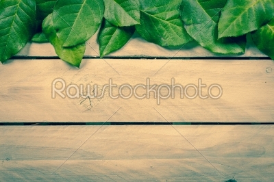 Leaves on wooden background