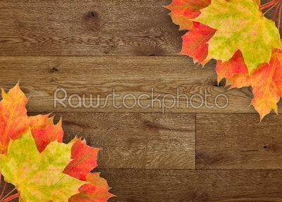 leaves with background wood