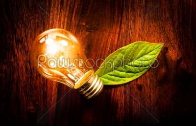 Light bulb with a leaf