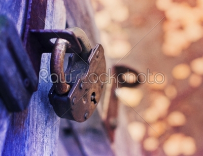 Lock on Fence for Security