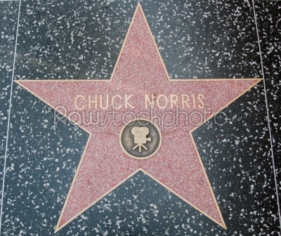 LOS ANGELES, USA - AUGUST 23: Chuck Norris Hollywood Star,2013
