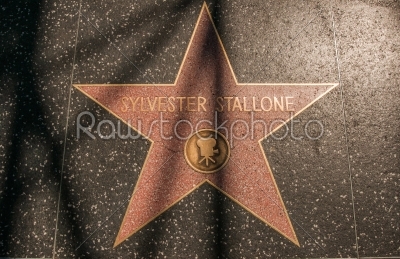 LOS ANGELES, USA - AUGUST 23: Sylvester Stallone Hollywood Star,