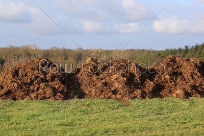 manure for agriculture