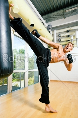 Martial Arts Kick