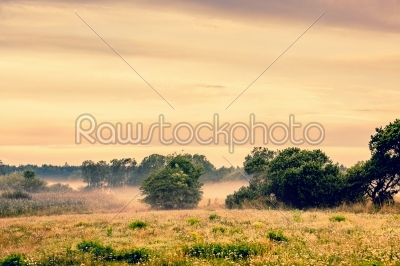 Misty countryside landscape
