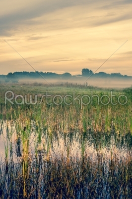 Misty landscape with a quiet lake