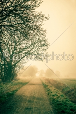 Misty road an early morning