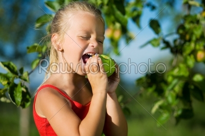 Nibble of a sweet apple