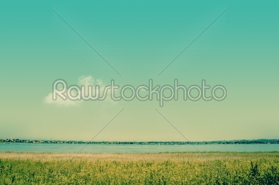 Ocean landscape with green nature