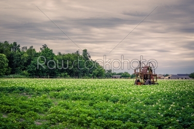 Old water pump on a potato field