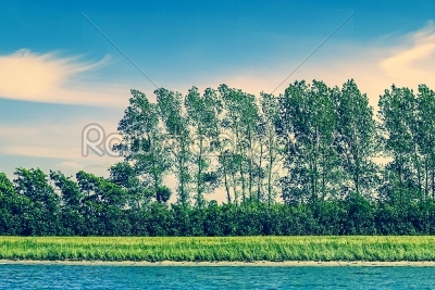 Panorama beach landscape with trees on a row