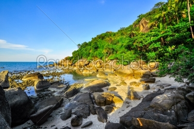 panoramic tropical beach with coconut palm. Koh Samui,