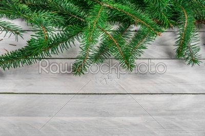 Pine on wood background