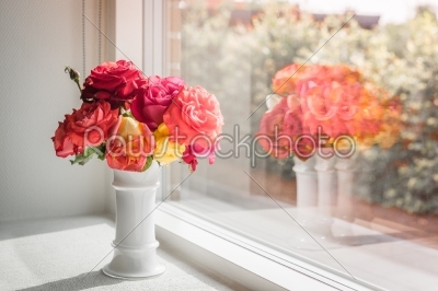 Pink roses in a window