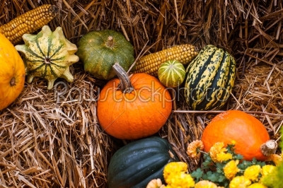 Pumpkin decoration at autumn