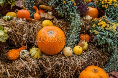 Pumpkin ornament at autumn