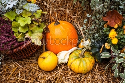 Pumpkin ornament in the fall