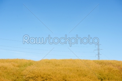 Pylons on a yellow field