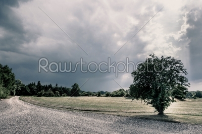 Road in a cloudy nature scenery