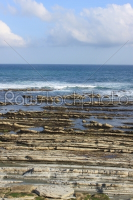 rocky beach at low tide