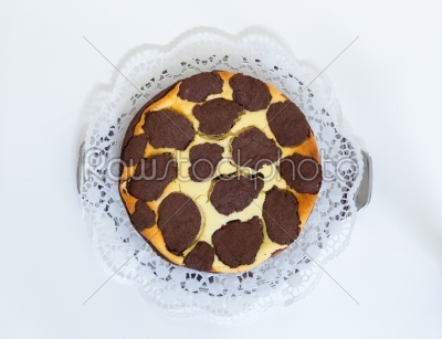 Russian cheese cake isolated on light background