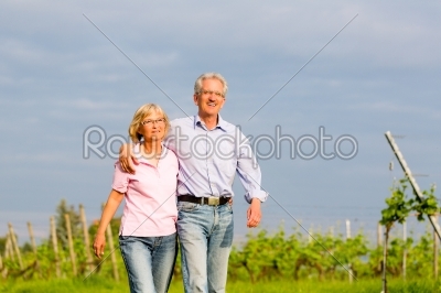 Seniors in summer walking hand in hand