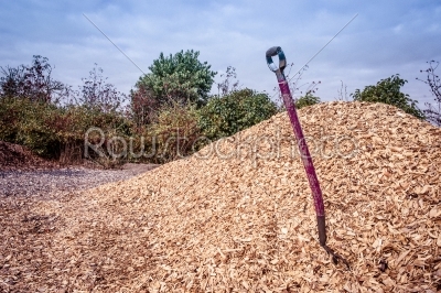 Shovel in mulch