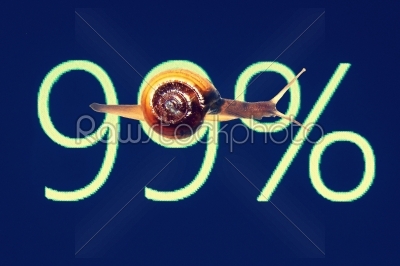 Snail on a board, 99 percentage discount