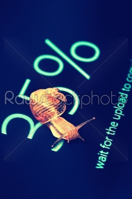 Snail on computer screen 35% data completed