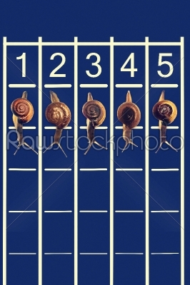 Snails running on track