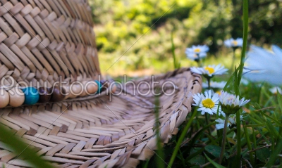 Straw Hat in the Grass
