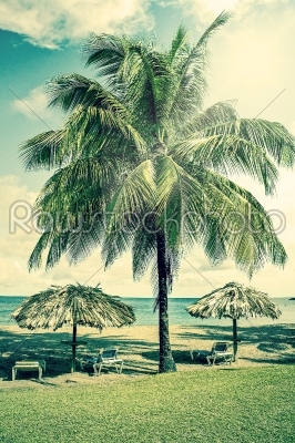 Tropical beach resort in the caribbean