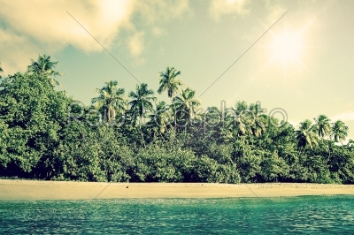 Tropical beach scenery with palm trees