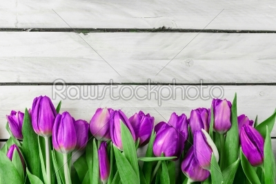 Tulip flowers on wood background