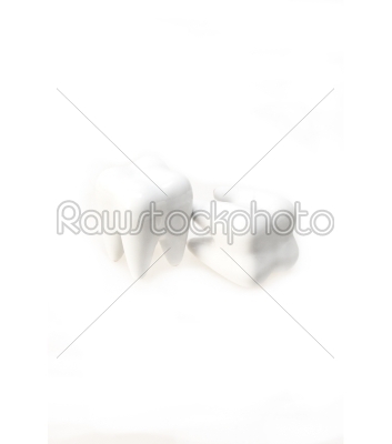 two teeth isolated on white