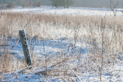 Winter landscape at a countryside