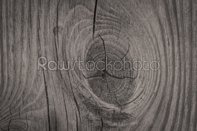 Wood background closeup with textures