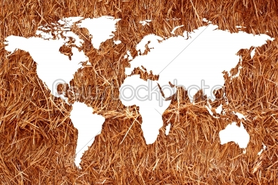 World map white background