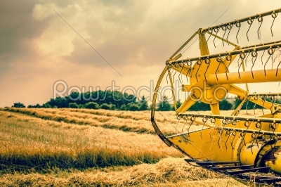 Yellow harvester on the country