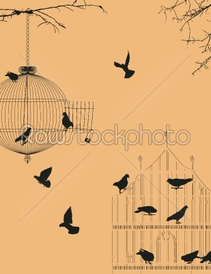 Birds and birdcages postcard 3