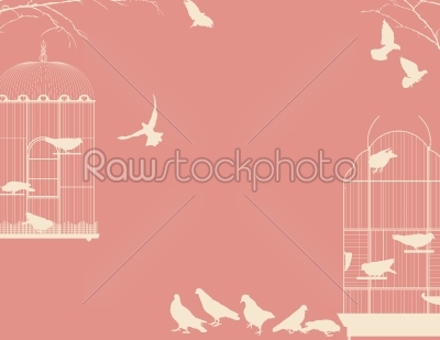 Birds and birdcages postcard 4