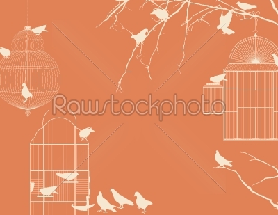 Birds and birdcages postcard 6