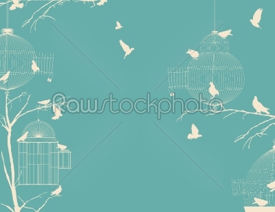 Birds and birdcages postcard 8