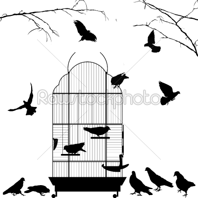Open bird cage and birds