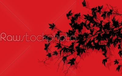 Tree branches over red